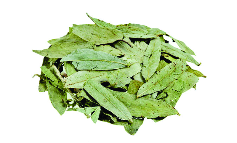 093111231734Kk-201219-3