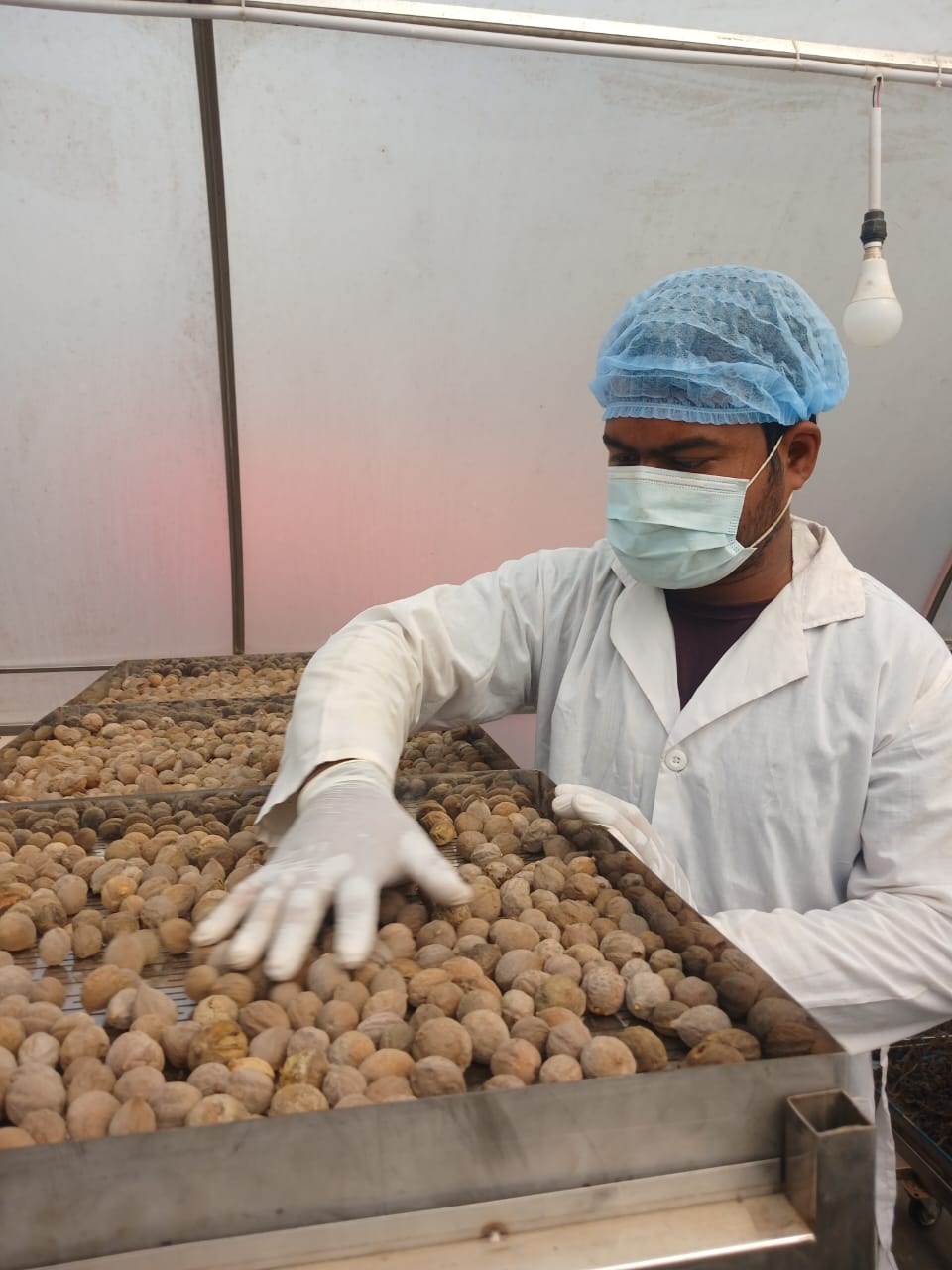 WhatsApp Image 2025-02-27 at 6.38.26 PM