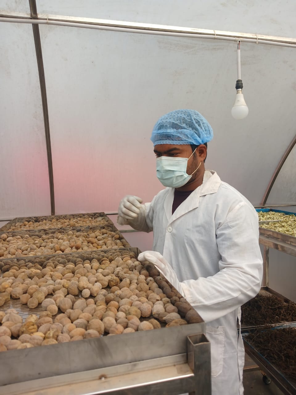 WhatsApp Image 2025-02-27 at 6.38.27 PM